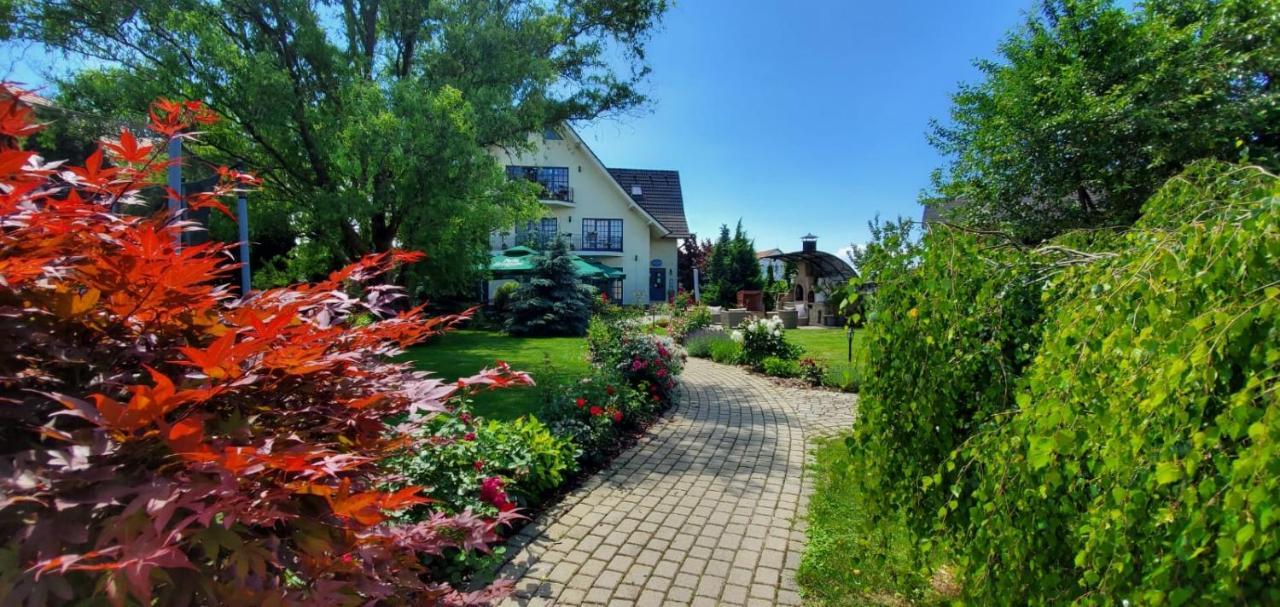 Villa Westfalia Guest House Tîrgu Secuiesc 외부 사진