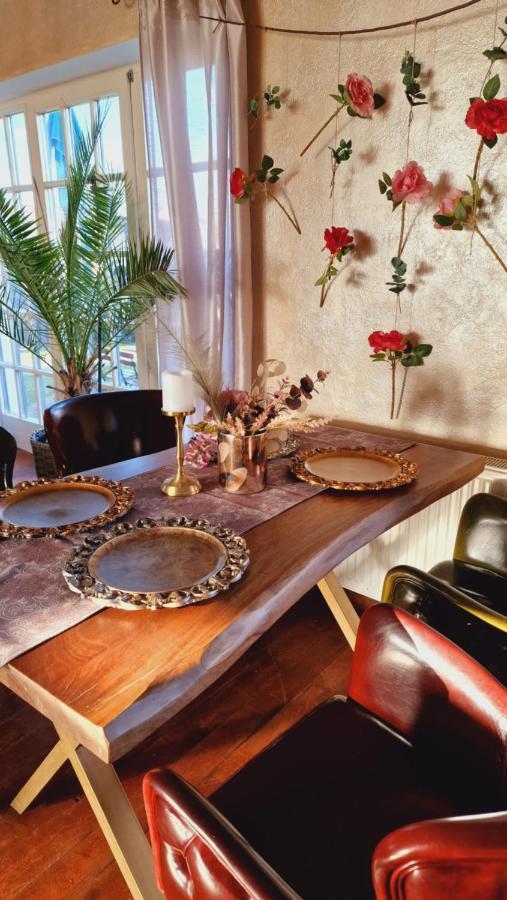 Villa Westfalia Guest House Tîrgu Secuiesc 외부 사진