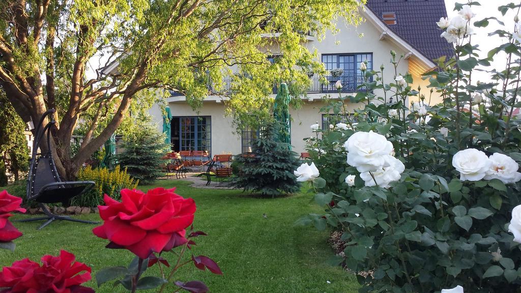 Villa Westfalia Guest House Tîrgu Secuiesc 외부 사진