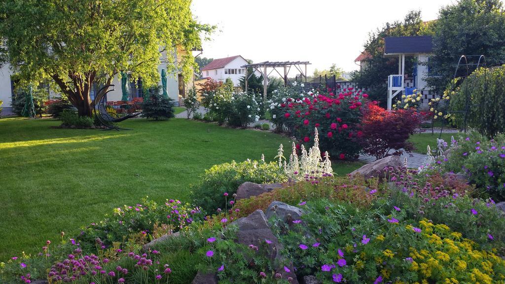 Villa Westfalia Guest House Tîrgu Secuiesc 외부 사진
