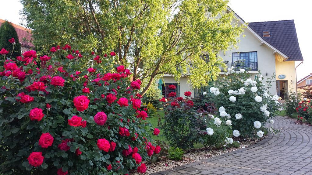 Villa Westfalia Guest House Tîrgu Secuiesc 외부 사진