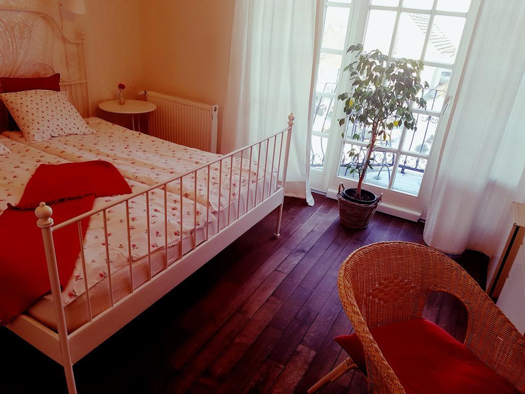 Villa Westfalia Guest House Tîrgu Secuiesc 외부 사진