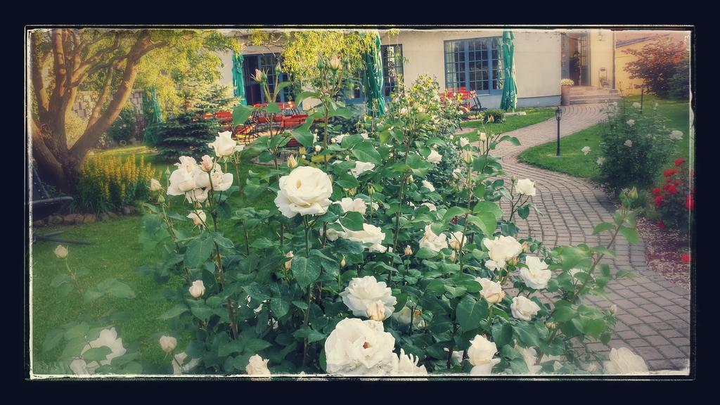 Villa Westfalia Guest House Tîrgu Secuiesc 외부 사진